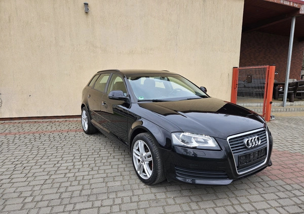 Audi A3 cena 25900 przebieg: 264000, rok produkcji 2010 z Gniezno małe 191